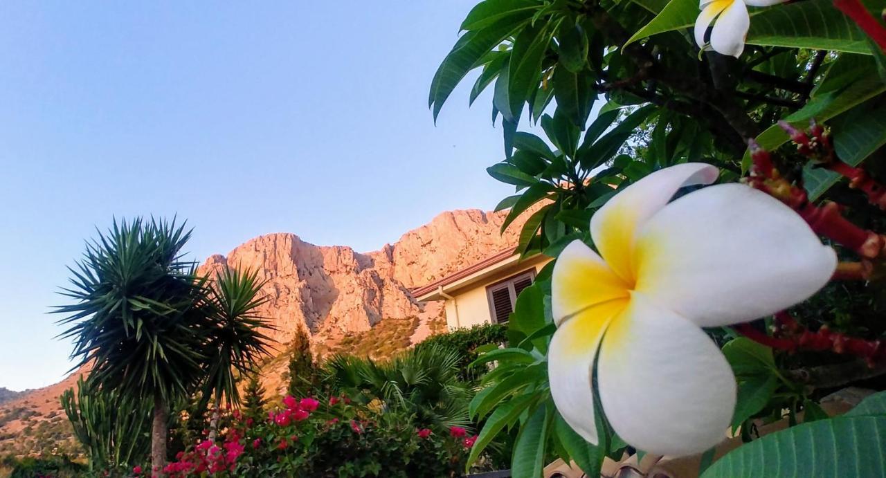 Bed and Breakfast Ciuri Ri Zagara Чинізі Екстер'єр фото